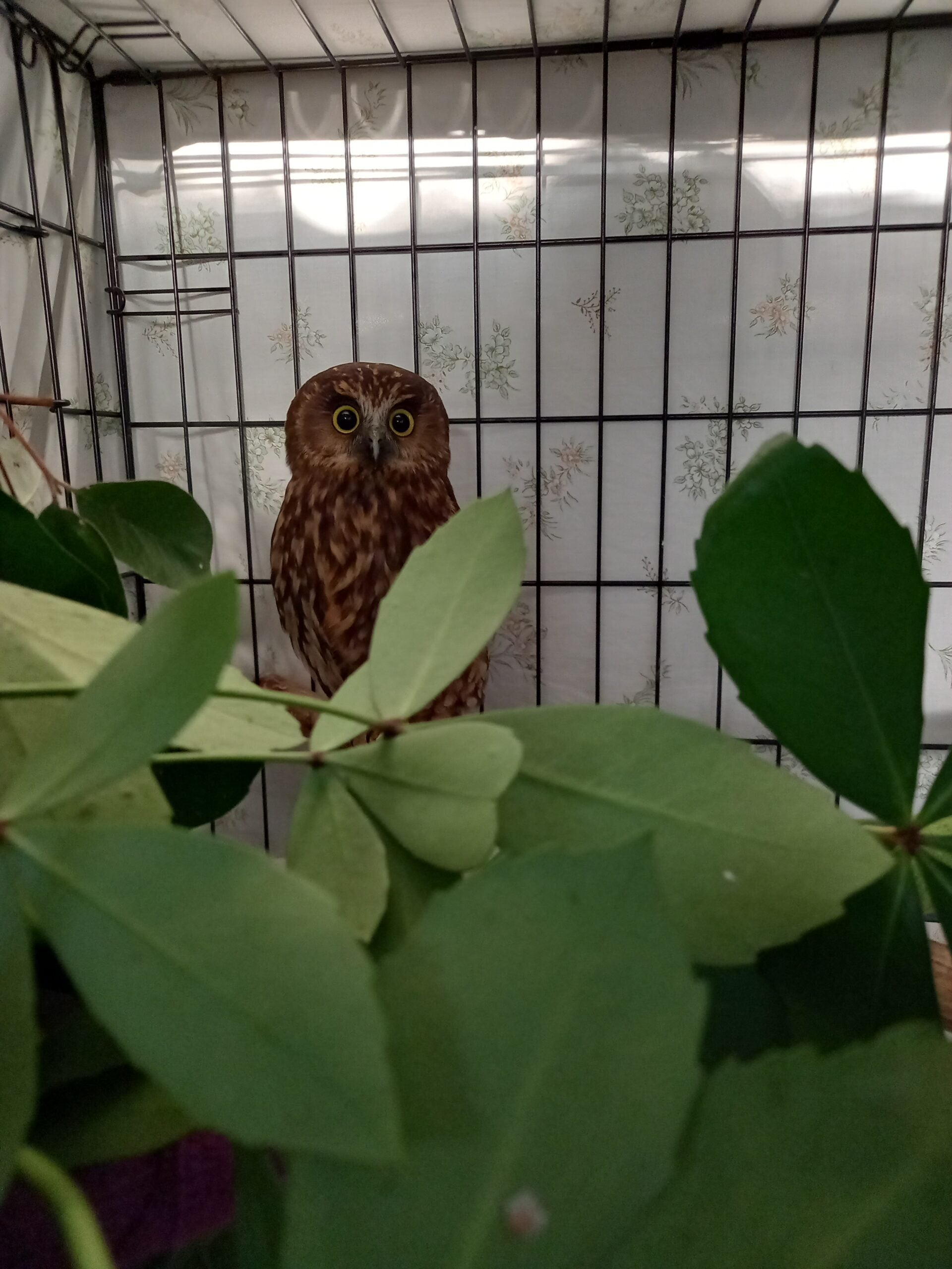 Thumbnail for OneFortyOne NZ Announces Latest Community Grant Recipients