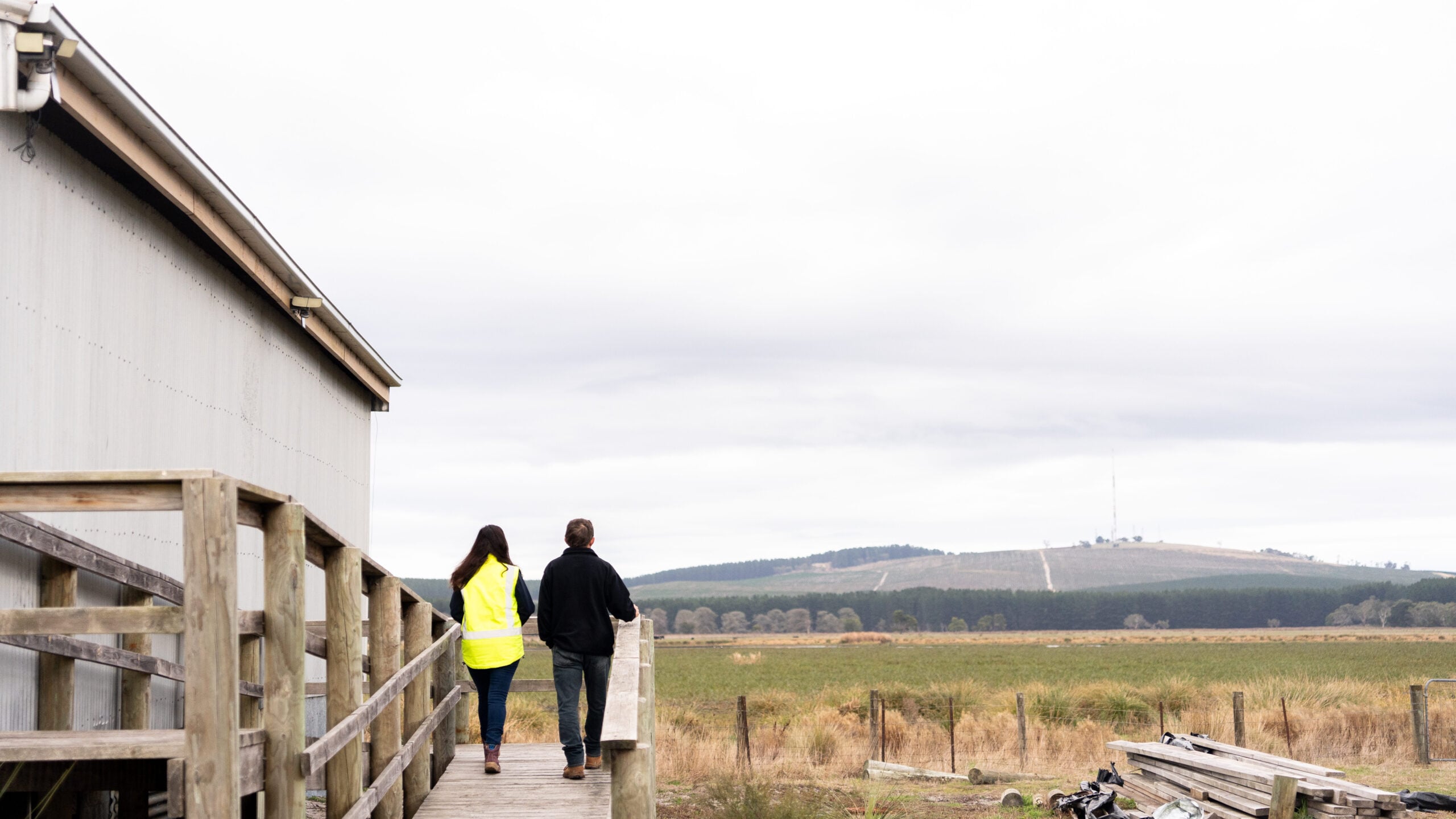 Thumbnail for Continued partnership to support restoration and biodiversity projects